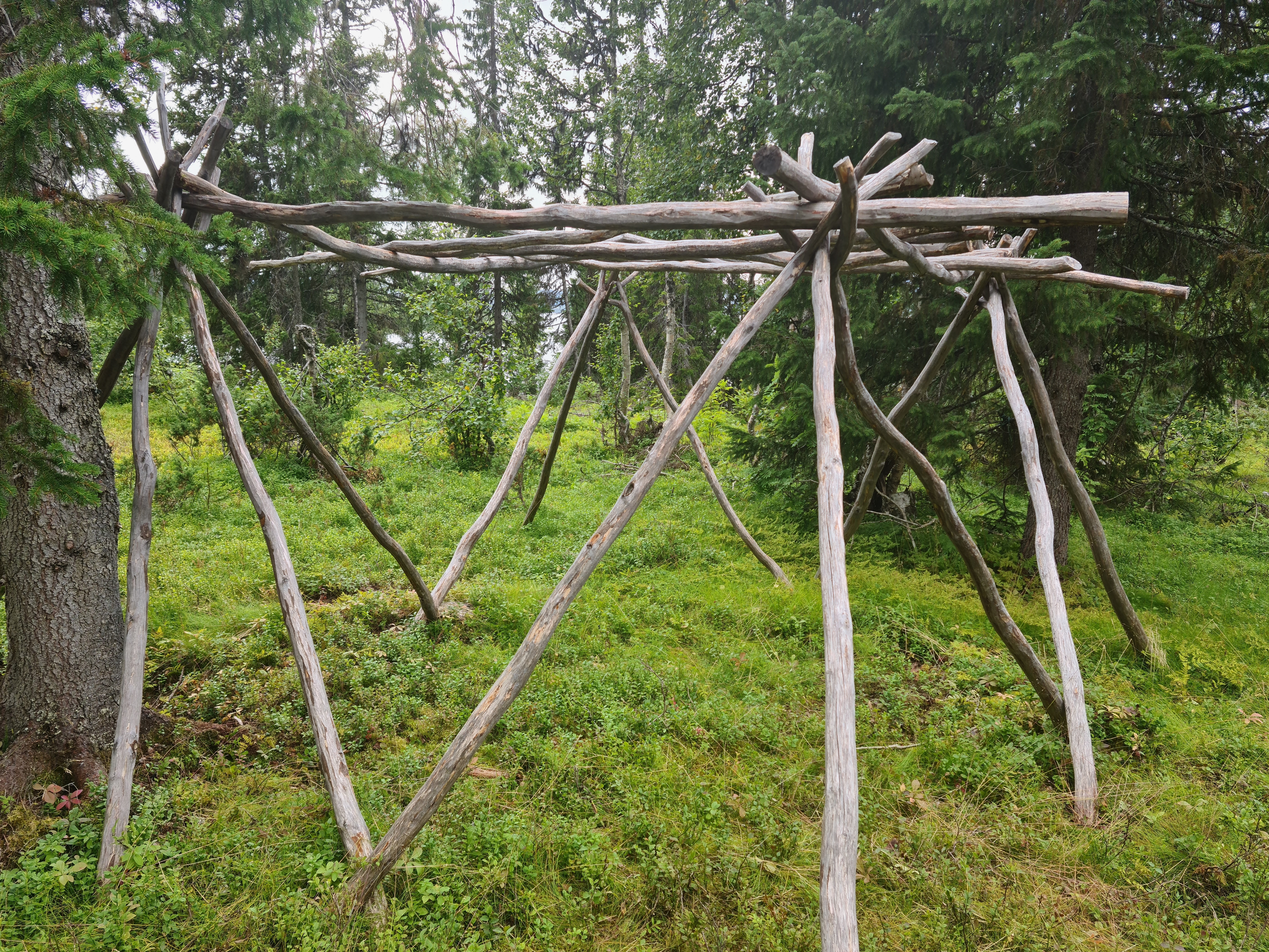 samisk tørkestativ, en konstruksjon av staur med stjerneformede hjørner i topp