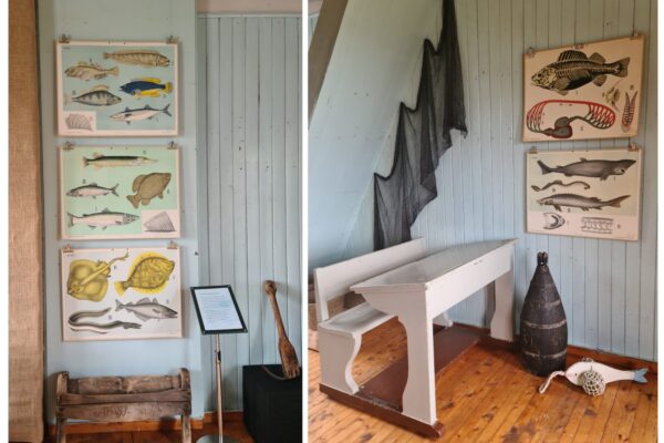 collage med to bilder som viser skoleplansjer med fisk og gjenstander fra fiske